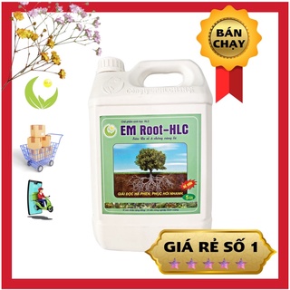 KÍCH THÍCH RA RỄ CAN 5L - EM ROOT SIÊU RA RỄ HLC - THUỐC KÍCH RỄ CHO CÂY CỰC MẠNH, KÍCH CHỒI, XANH LÁ