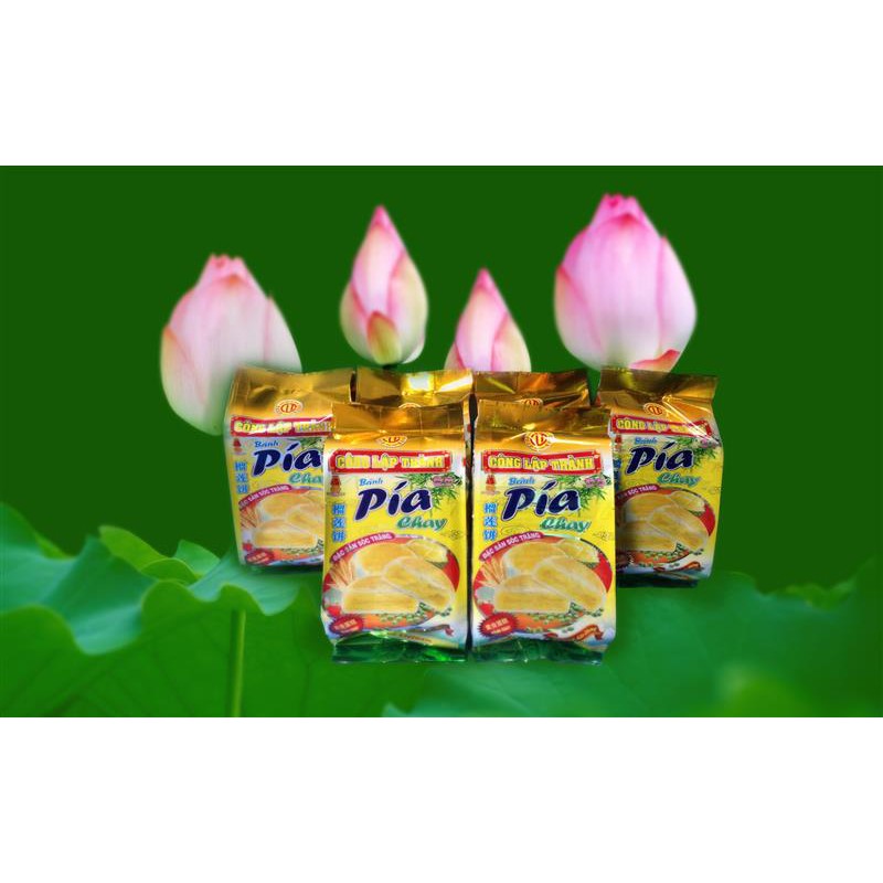 [FREESHIP 99K TOÀN QUỐC Bánh Pía Đậu Xanh Sầu Riêng - Chay - 400g (4 cái)