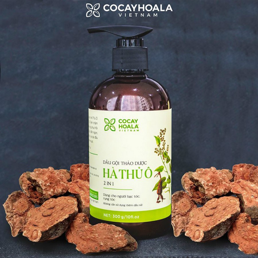 👑[ SALE HÔM NAY ] Dầu Gội Thảo Dược Hà Thủ Ô 2in1 🌻 | BigBuy360 - bigbuy360.vn