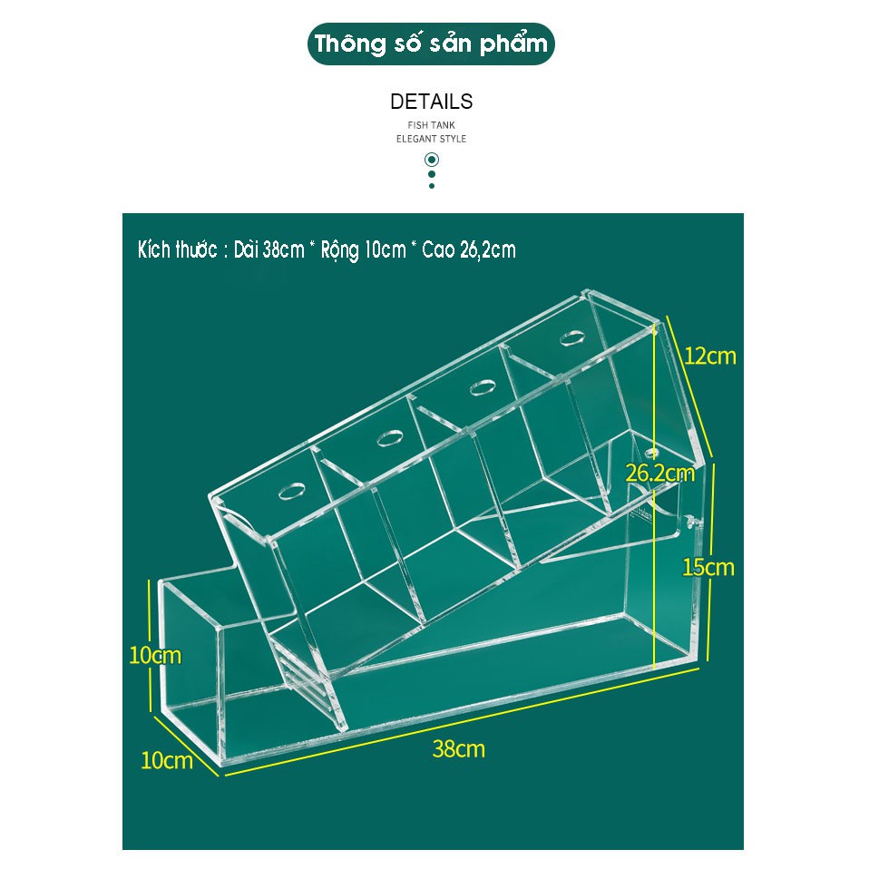 Bể cá betta acrylic đặc biệt kết cấu chéo