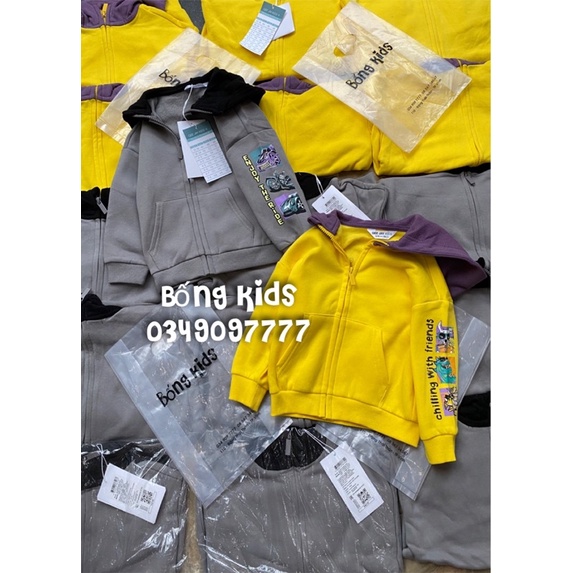 Áo Khoác Nỉ Hoodie Bé Trai Phối Màu GJ