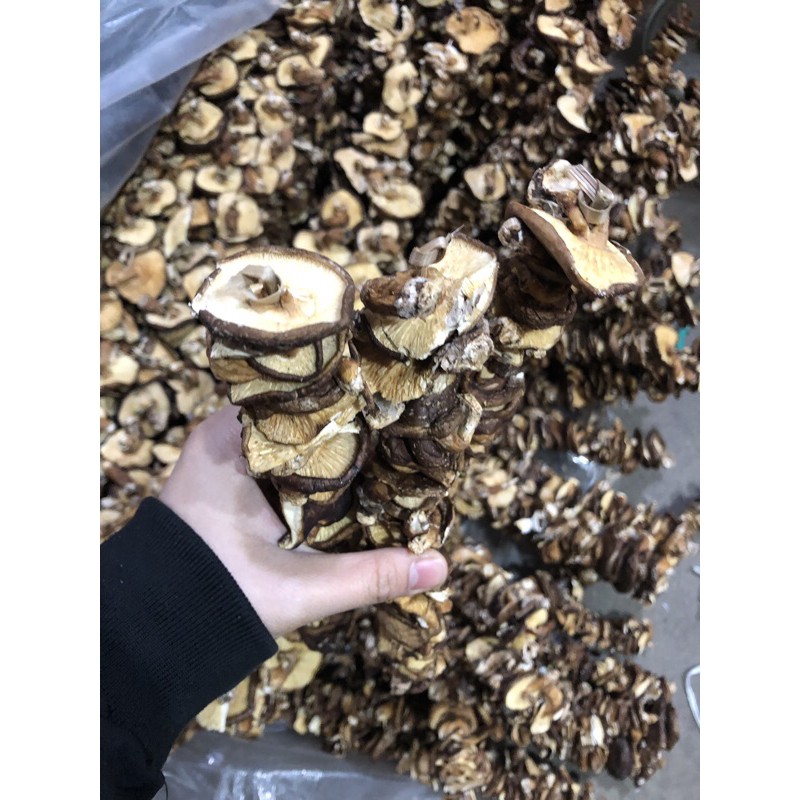 Nấm hương Tây bắc túi 500g