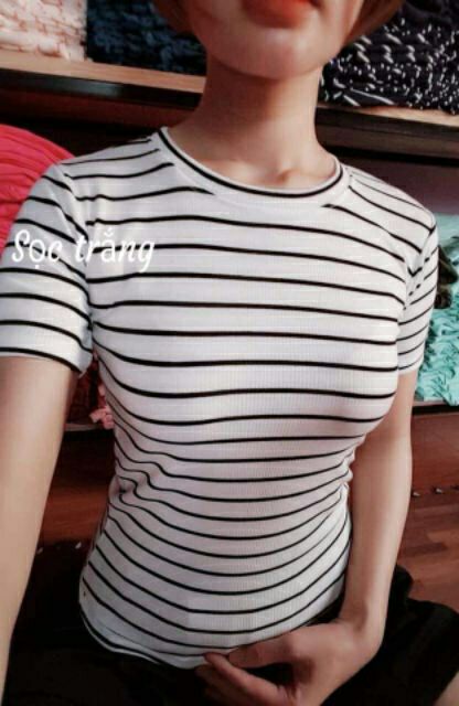 Áo tay ngắn sọc