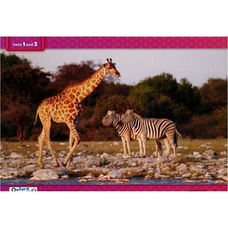 Flashcard Oxford Discover