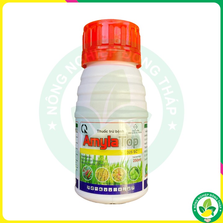Thuốc Trừ Bệnh AmylaTop 325SC
