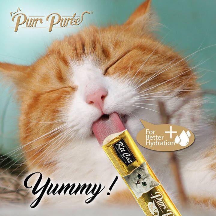 [Chính hãng] Súp thưởng cho mèo Purr Purree Kit Cat 60g