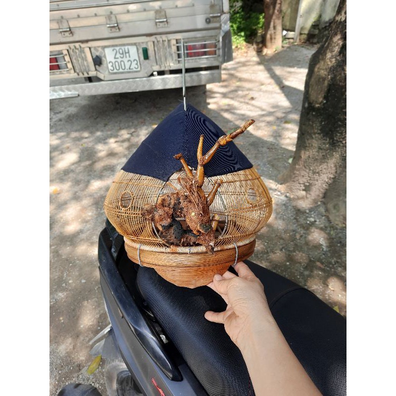 Gáy cửa rồng bịt vải