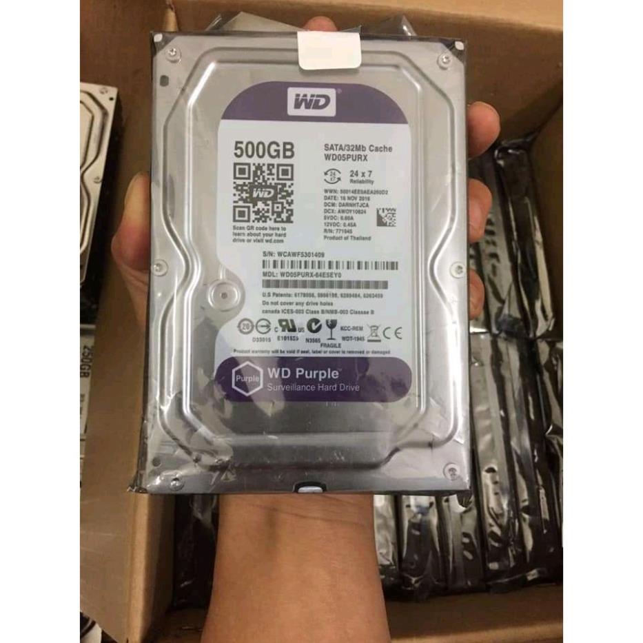 Ổ cứng 500gb Purple bảo hành 24 tháng  - SPANA