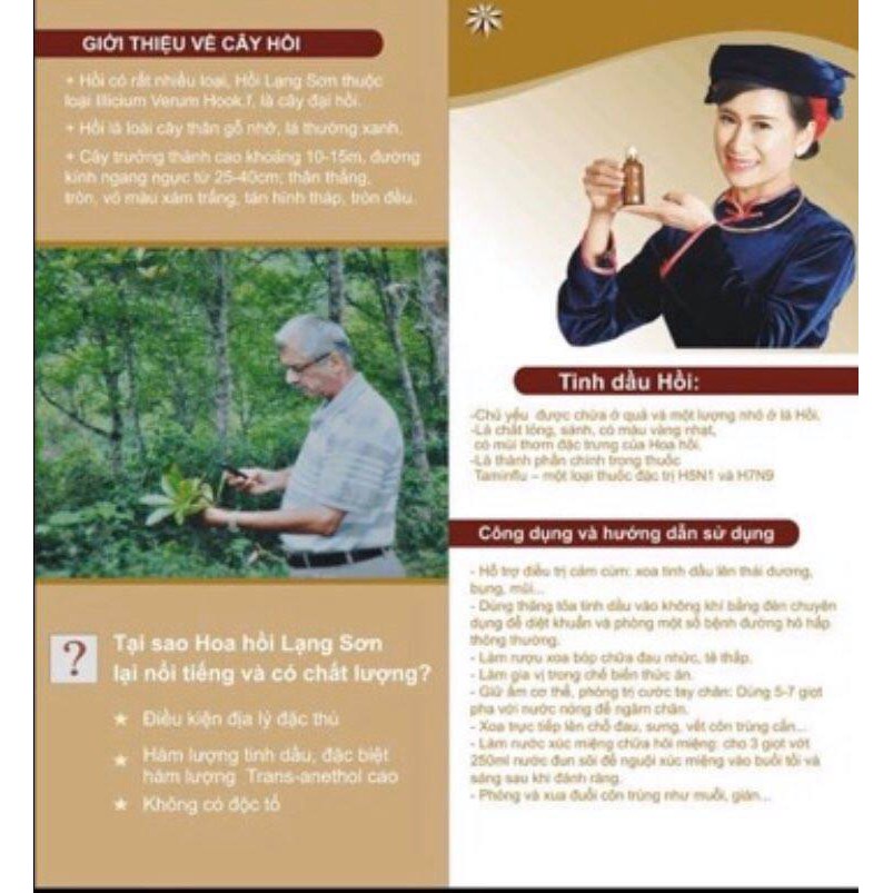 Hoa Hồi Khô - Đại Hồi Hương Cao Bằng 100G Sạch, Thơm Phức Hàng Loại 1