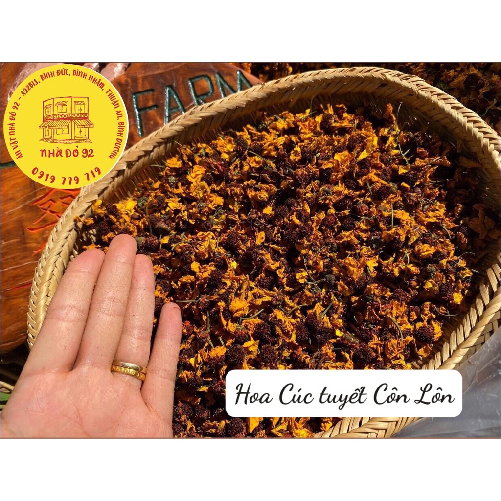 Hoa Cúc tuyết Côn Lôn