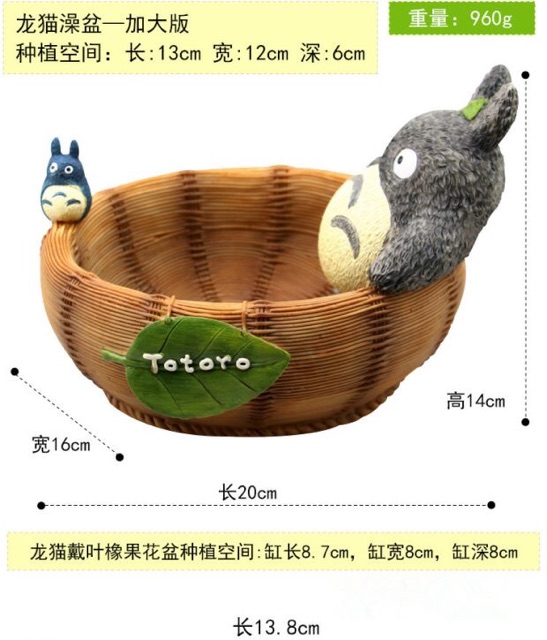 Chậu sen đá totoro