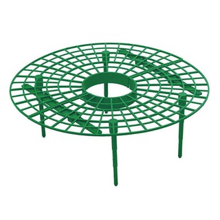 Giá đỡ dâu tây