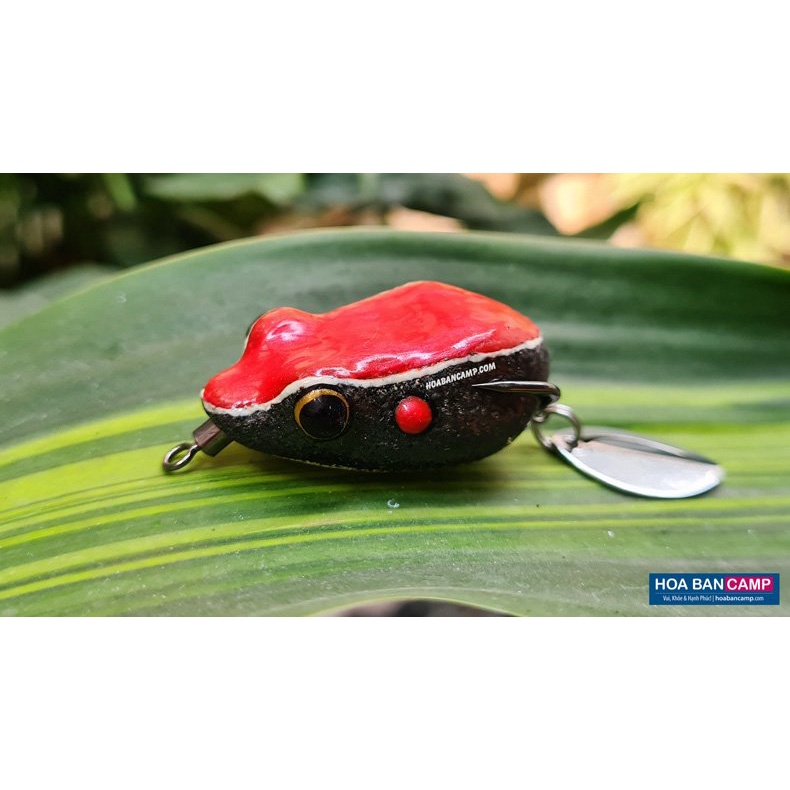 Mồi Nhái Hơi – Ếch Rừng | Forest Frog Thailand