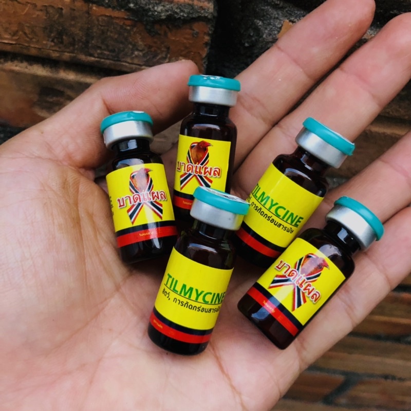 Tilmycine thuốc khò khè, khẹt, sưng phù đầu, viêm mắt kéo màng