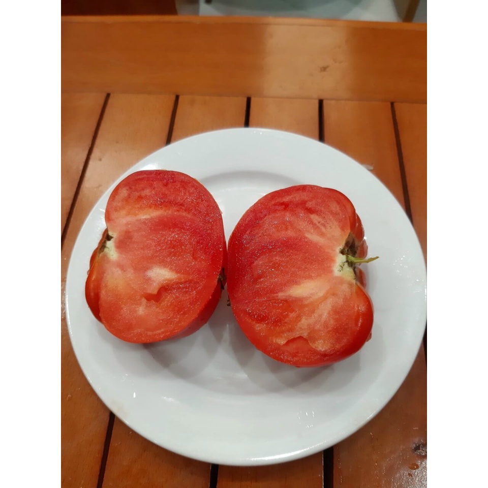 Hạt giống Cà chua hữu cơ nhập khẩu Châu âu - Minigarden - "Cuor di bue"