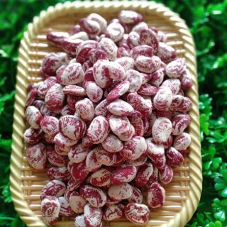 { 500G } ĐẬU NGỰ NGON BÙI 👌