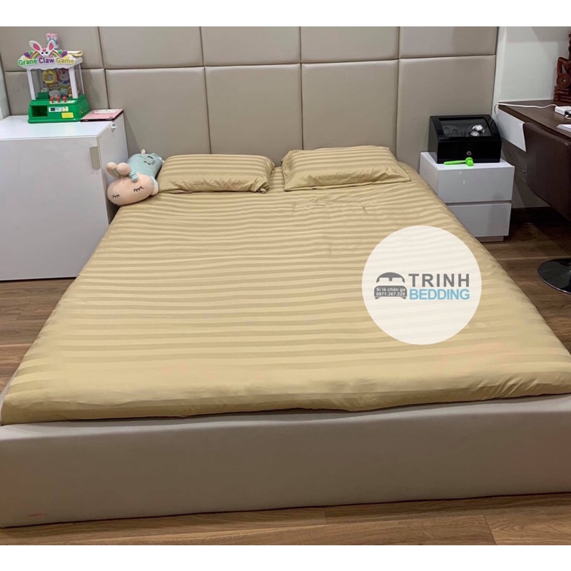 BỘ Ga cotton Sọc cao cấp 3 món ( tặng 1 ôm)