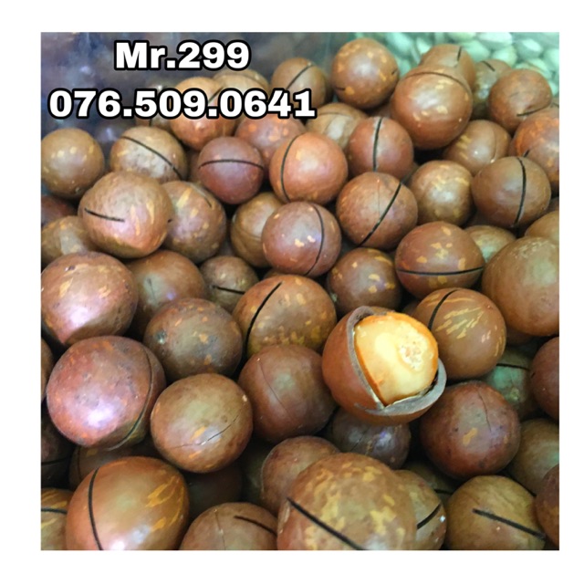 Hạt mắc ca Úc đóng gói