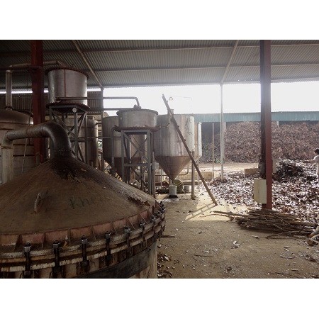 Tinh dầu quế nguyên chất