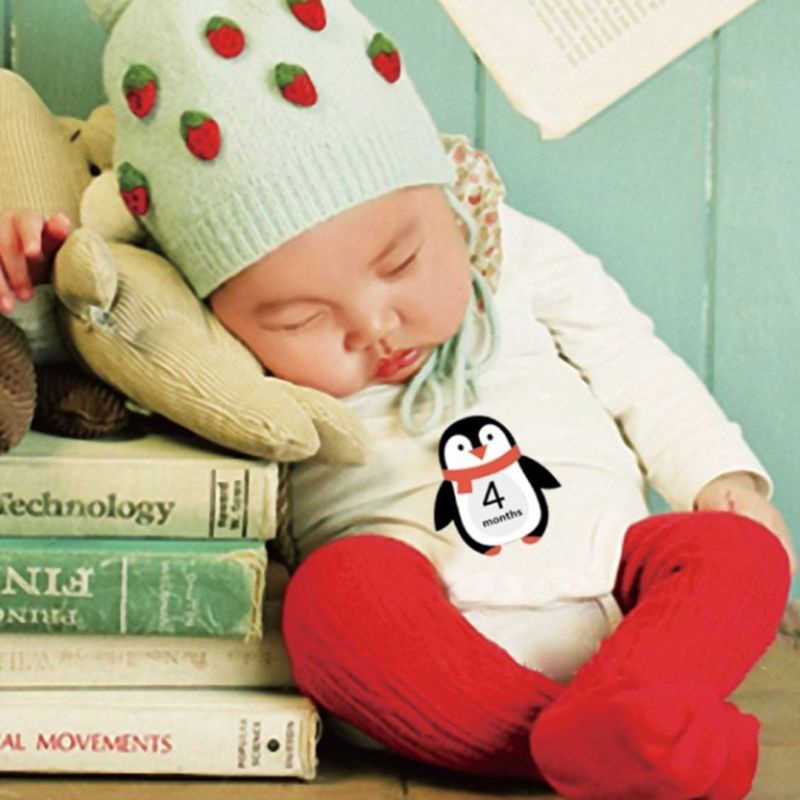 Set 14 Sticker Ghi Chú Theo Tháng Làm Phụ Kiện Chụp Ảnh Cho Bé Sơ Sinh