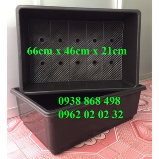 Combo 5 Chậu / Khay nhựa trồng rau 66x46x21cm đen