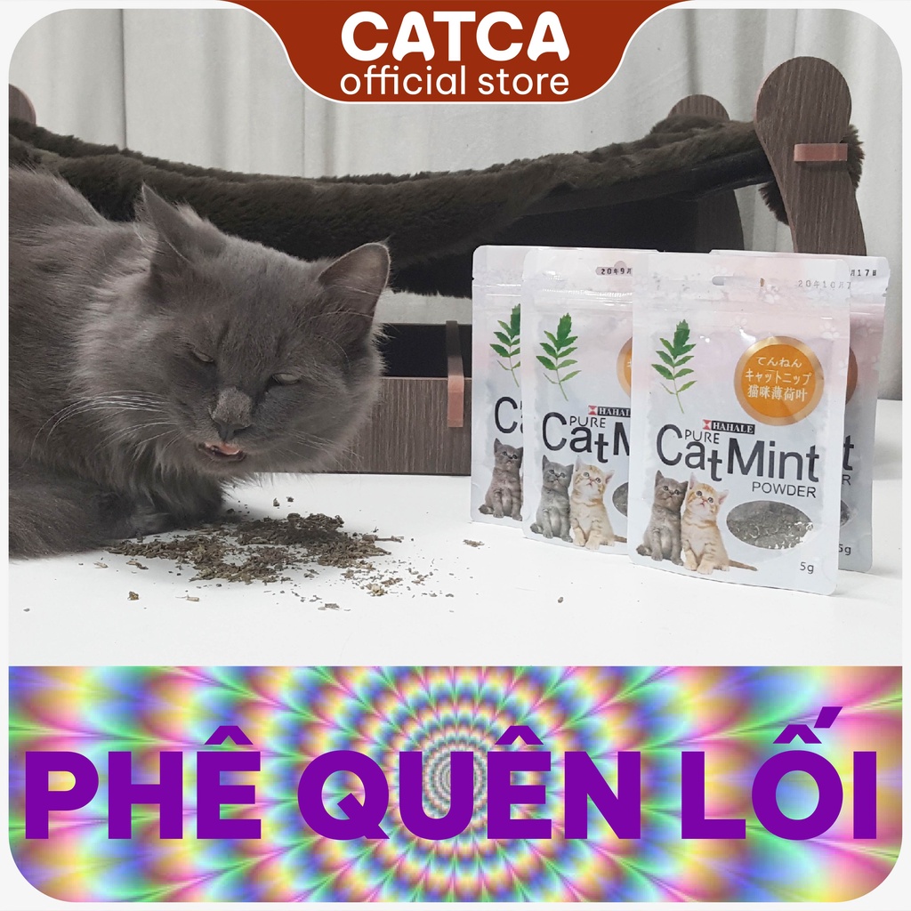 Cỏ bạc hà catnip cho mèo phê pha | Catnip | Duhomee