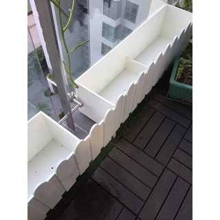 Chậu hàng rào 60x20x25