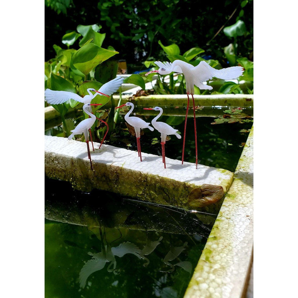 Combo 6 cò bay và đậu trang trí bể thủy sinh terrarium