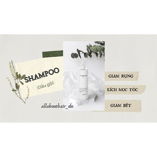 Dầu gội all about hair