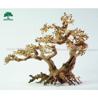Lũa bonsai dành cho hồ cá cảnh , hồ thủy sinh, văn phòng làm việc....