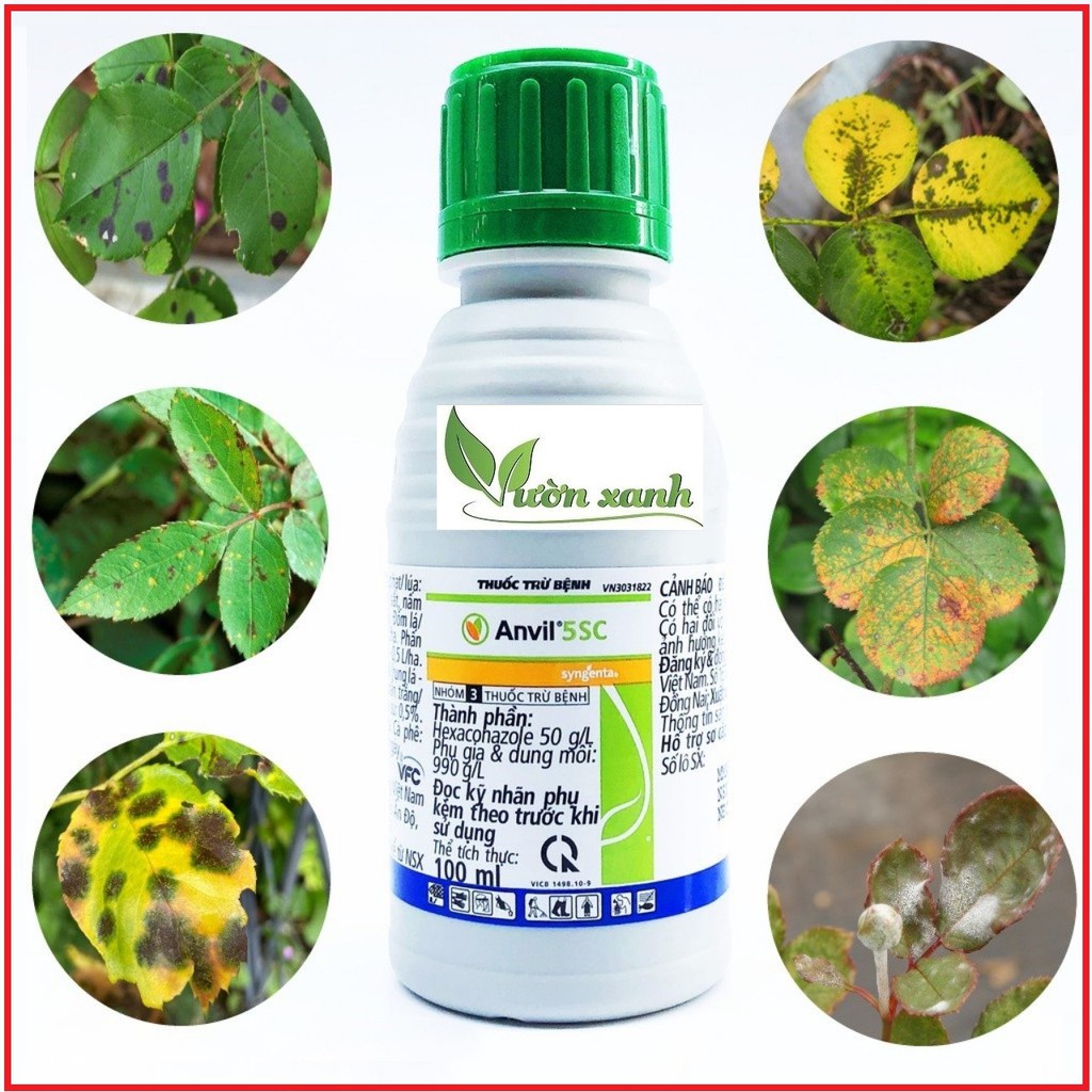 ( SIÊU RẺ ) Anvil 100ml - đặc trị phấn trắng, vàng lá, ri sat trên hoa, cây cảnh