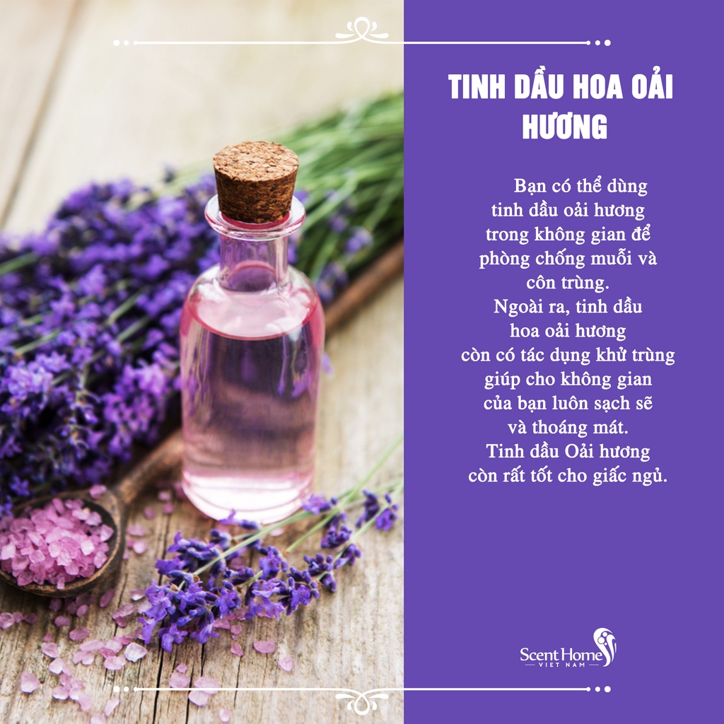 Tinh dầu oải hương Hoa Nén 100ml dạng xịt phòng - Giúp khử mùi, diệt khuẩn, xua đuỗi côn trùng hiệu quả và an toàn