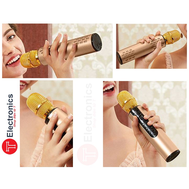 Micro Karaoke Loa Kép K3