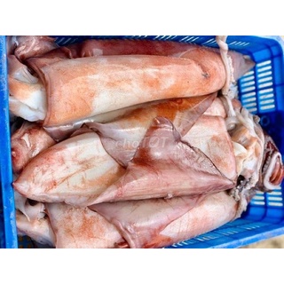 Mực lá đại dương con size to 3-5kg ( Chỉ giao Hoả Tốc HCM)