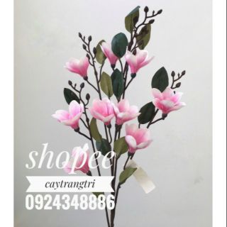 🌸 Hoa Mộc Lan Cao Su Trang Trí