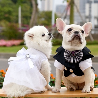 Chó Phù hợp với Chú rể Quần áo Quần áo Thú cưng Teddy Bichon Đôi Váy nhỏ thumbnail