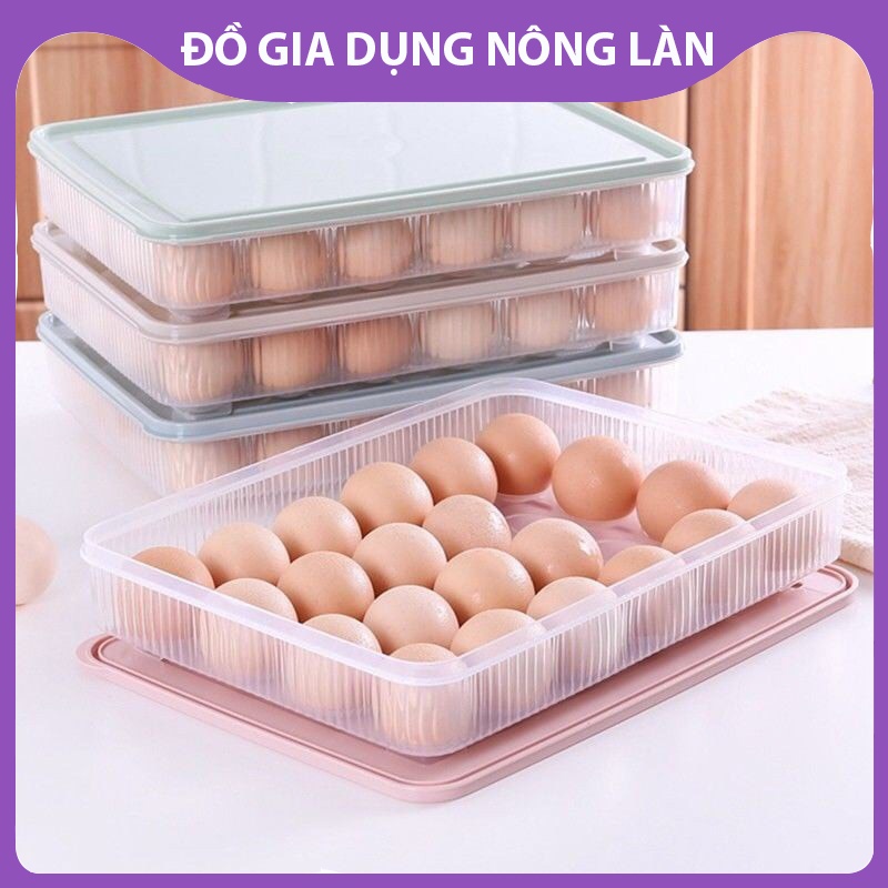 Hộp đựng trứng gà 24 quả NL Shop  hộp nhựa đựng thự phẩm