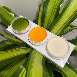 BODY S.O.N TAM SẮC (Kèm phiếu bảo hành)