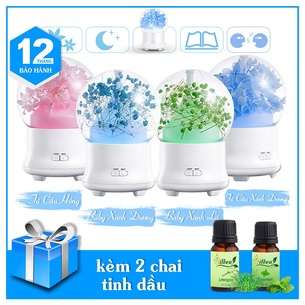 Máy khuếch tán tinh dầu quả cầu hoa tặng kèm 2 chai tinh dầu nguyên chất 10ml sả chanh và bạc hà