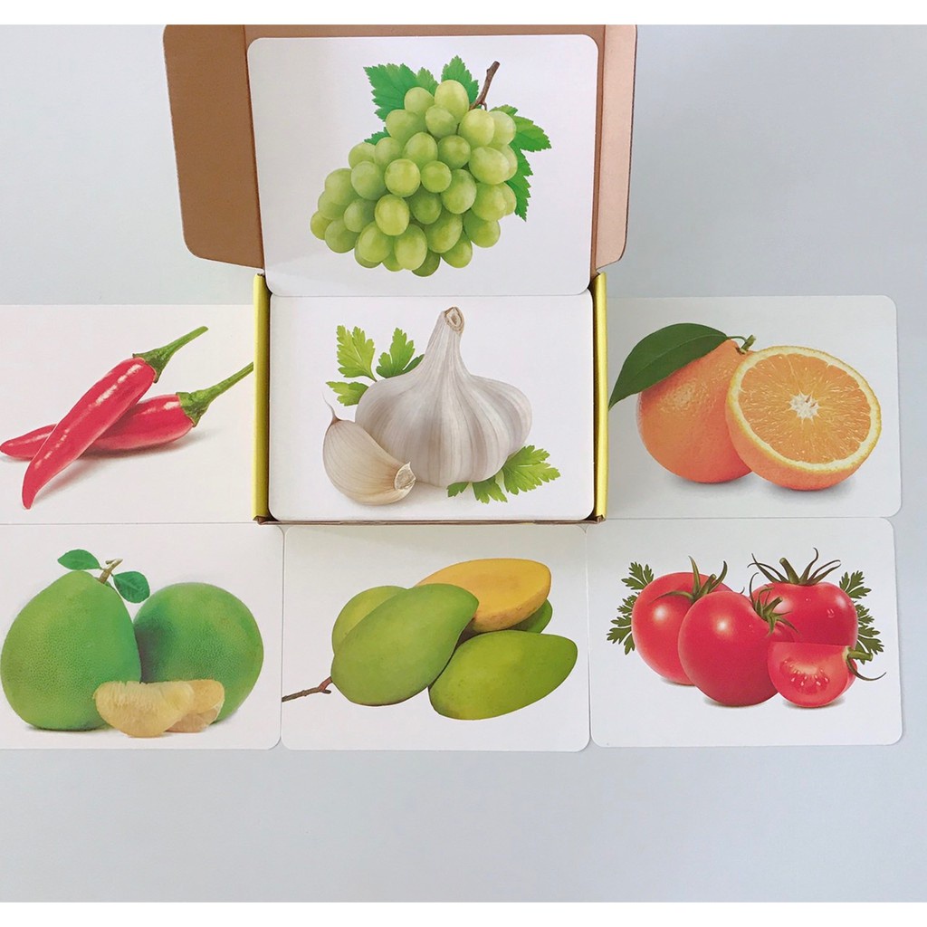 Flashcard Bộ Thẻ Thế giới xung quanh Song Ngữ Tiếng Anh Việt giáo dục sớm theo Glenn Doman