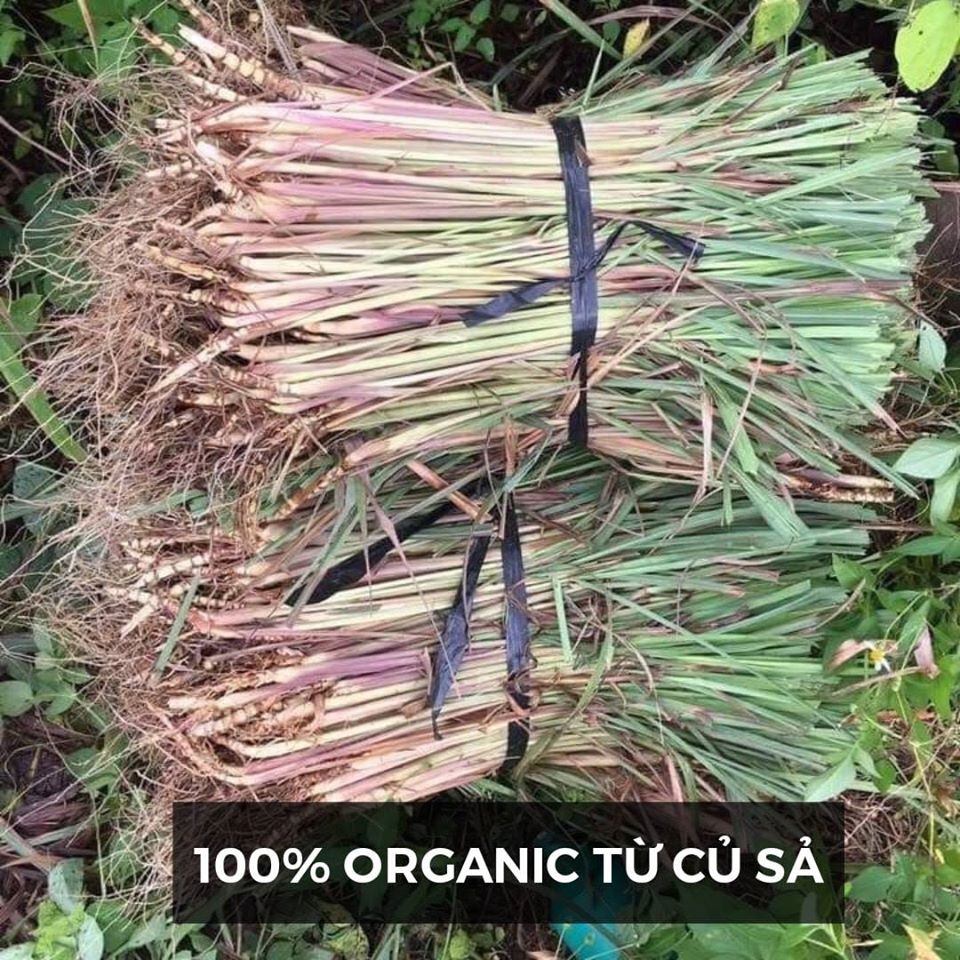 NƯỚC RỬA TAY KHÔ CHANH SẢ DIỆT KHUẨN 100ml | BigBuy360 - bigbuy360.vn