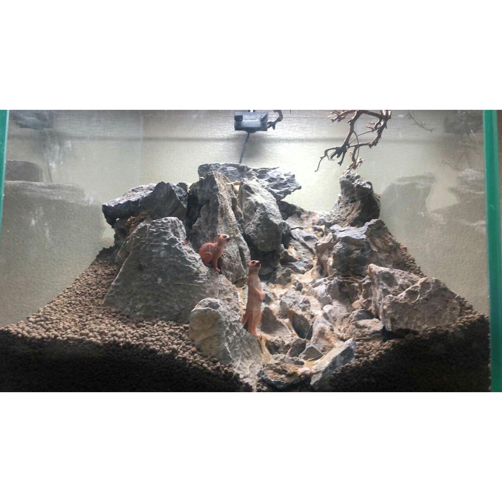 mô hình 2 con Chồn sa mạc - mô hình trang trí