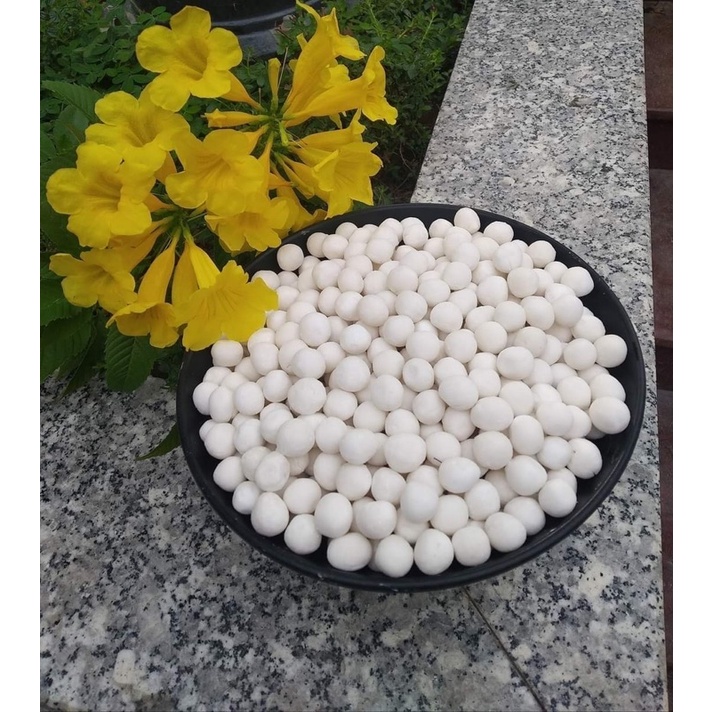 1kg trân châu trắng nhân dừa siêu ngon