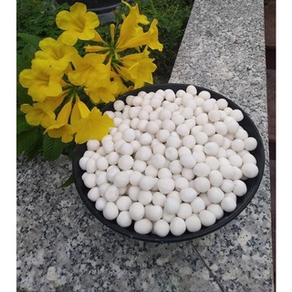 1kg trân châu trắng nhân dừa siêu ngon