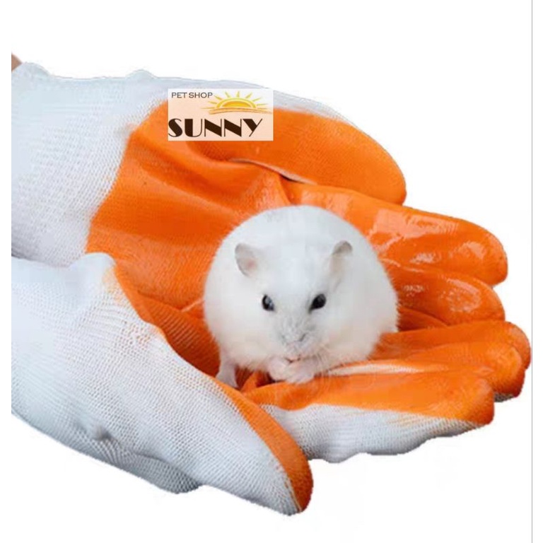 Găng tay bắt hamster, thú cưng chống cắn (loại 1)