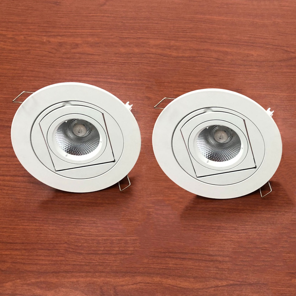 Đèn Rọi Tranh 12W, Đèn Âm Trần Downlight Xoay Góc 360 Độ Haledco Bảo Hành 12 Tháng HSDLT6