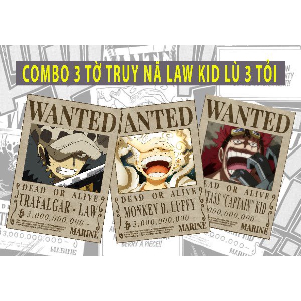 TRUY NÃ ONE PIECE - có keo dán - mặt giấy bóng