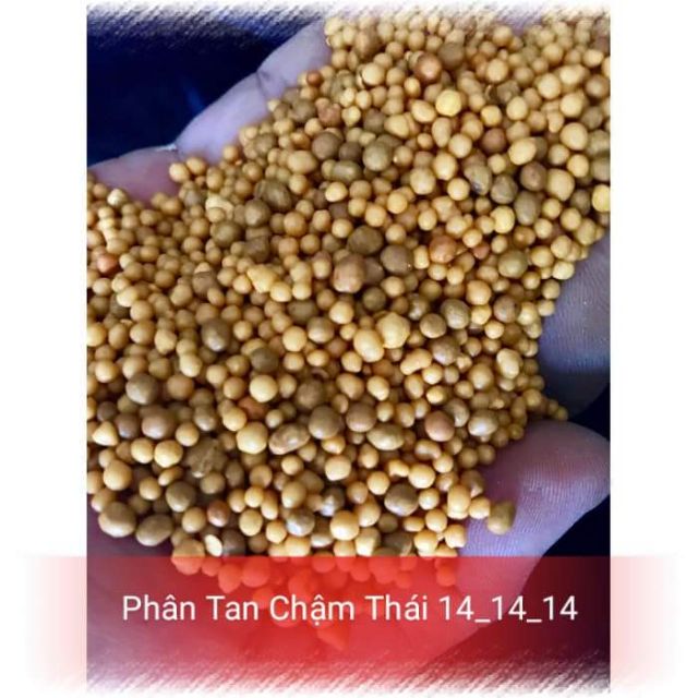 Phân vàng tan chậm Thái Lan 100g