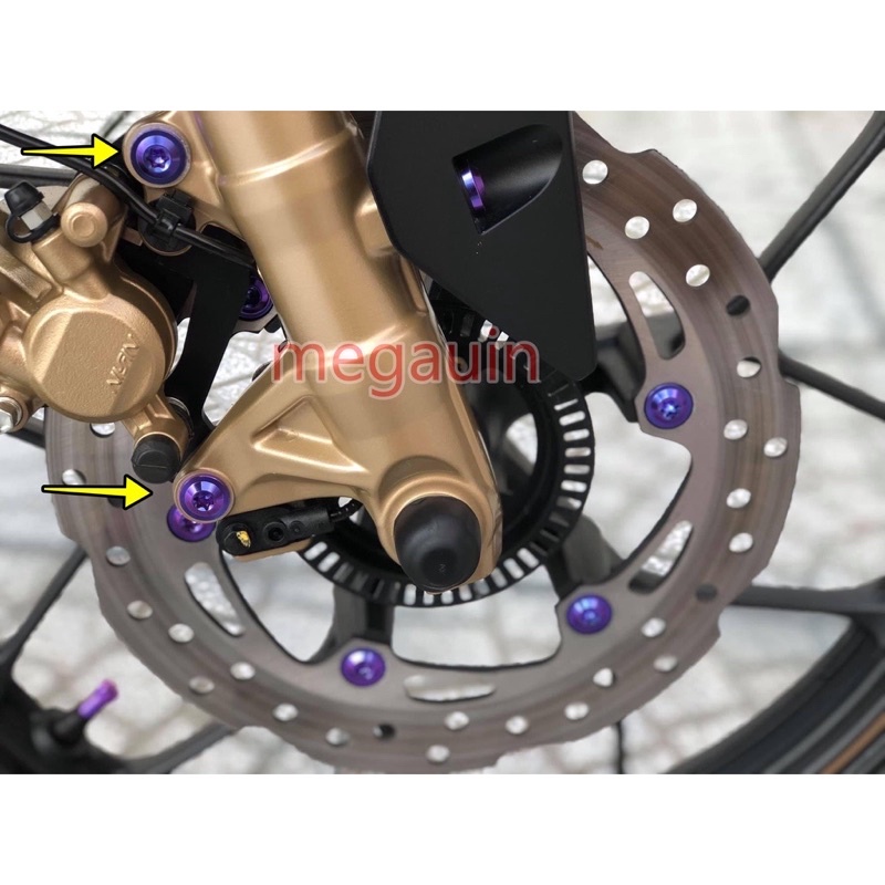 Bộ 2 Ốc Titan Bắt Pát Heo Winner/Winner X V2 V3