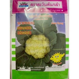 SÚP LƠ TRẮNG CHỊU NHIỆT THÁI LAN